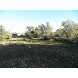 VENTA DE FINCAS EN ROQUETES