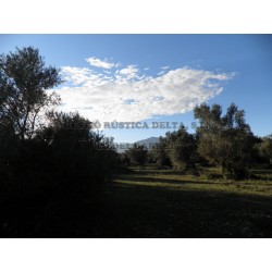 VENTA DE FINCAS EN ROQUETES
