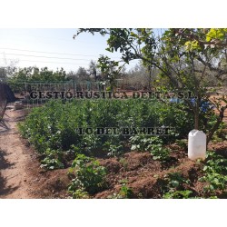 VENTA DE FINCAS EN CAMARLES