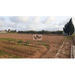 VENTA DE FINCAS EN L´ALDEA