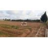 VENTA DE FINCAS EN L´ALDEA