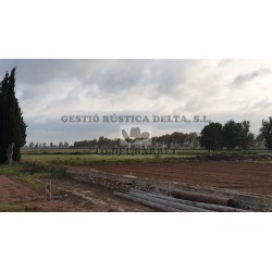 VENTA DE FINCAS EN L´ALDEA