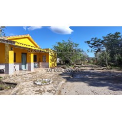 VENTA DE FINCAS EN ALDOVER